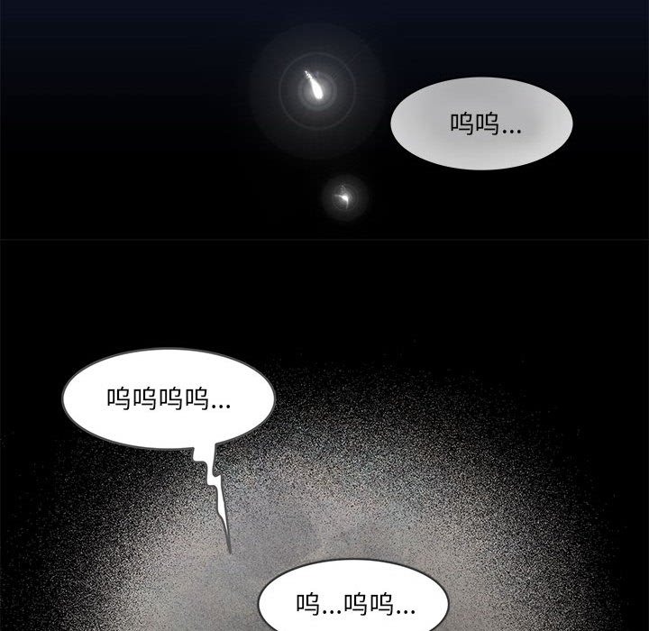 27P - 夜之花