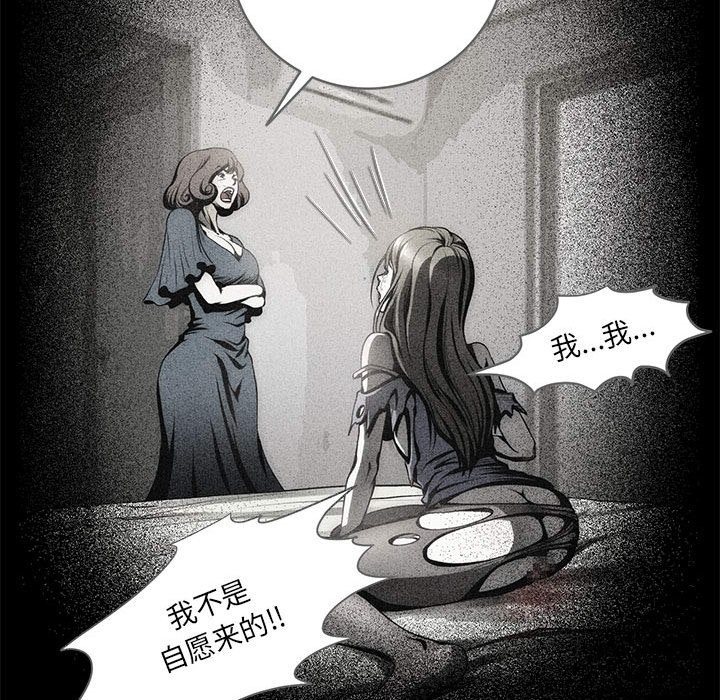 30P - 夜之花