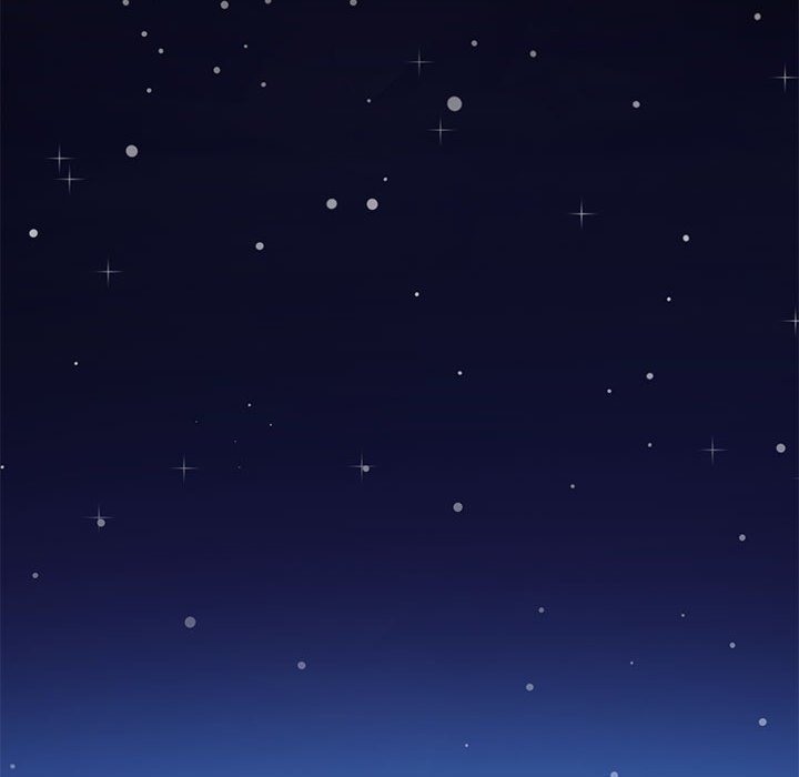 63P - 夜之花