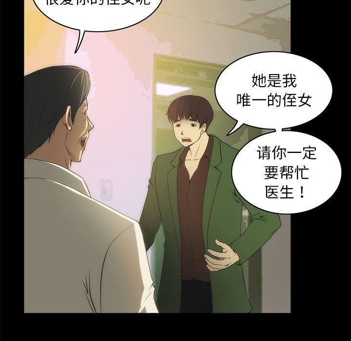 28P - 夜之花