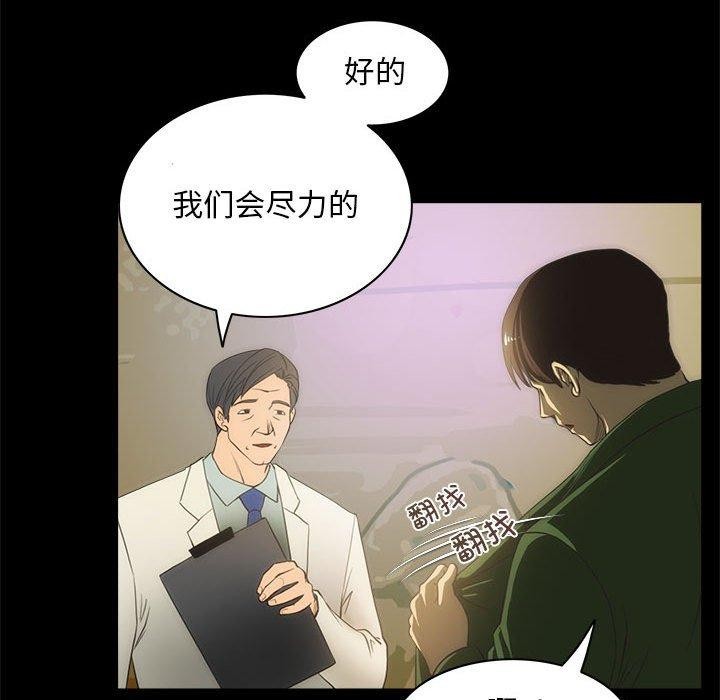 29P - 夜之花