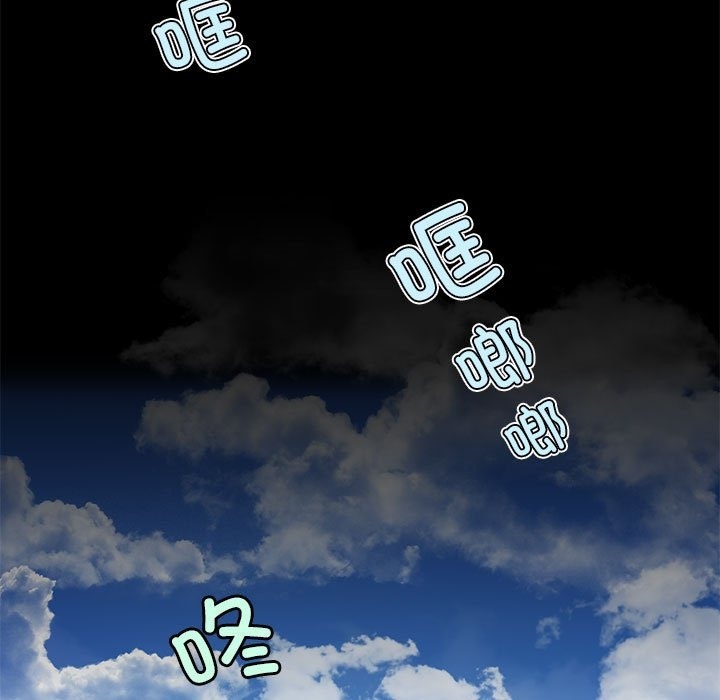 17P - 夜之花