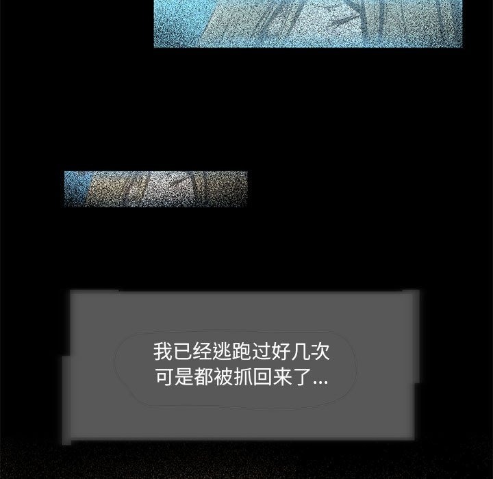 47P - 夜之花