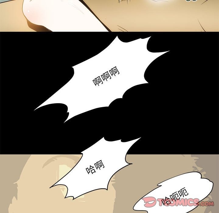 50P - 夜之花