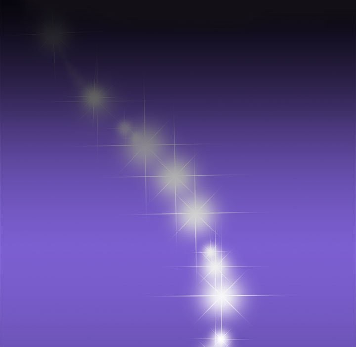 13P - 夜之花