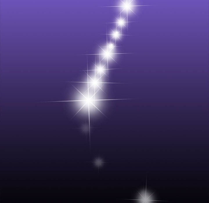 14P - 夜之花