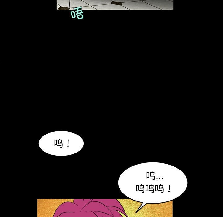 67P - 夜之花