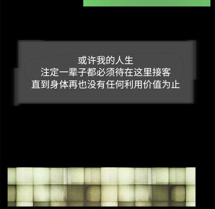 72P - 夜之花