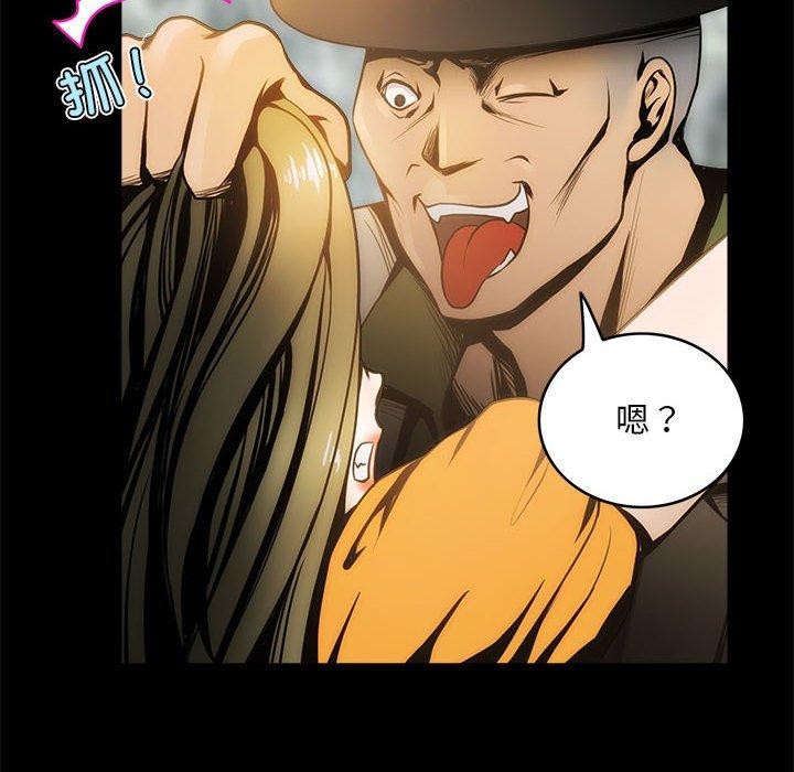 64P - 夜之花