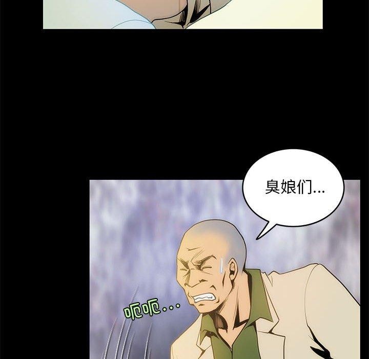 73P - 夜之花
