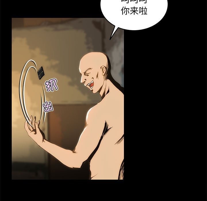 5P - 夜之花