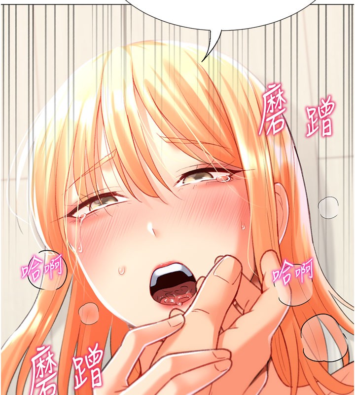 43P - 猎爱转蛋机
