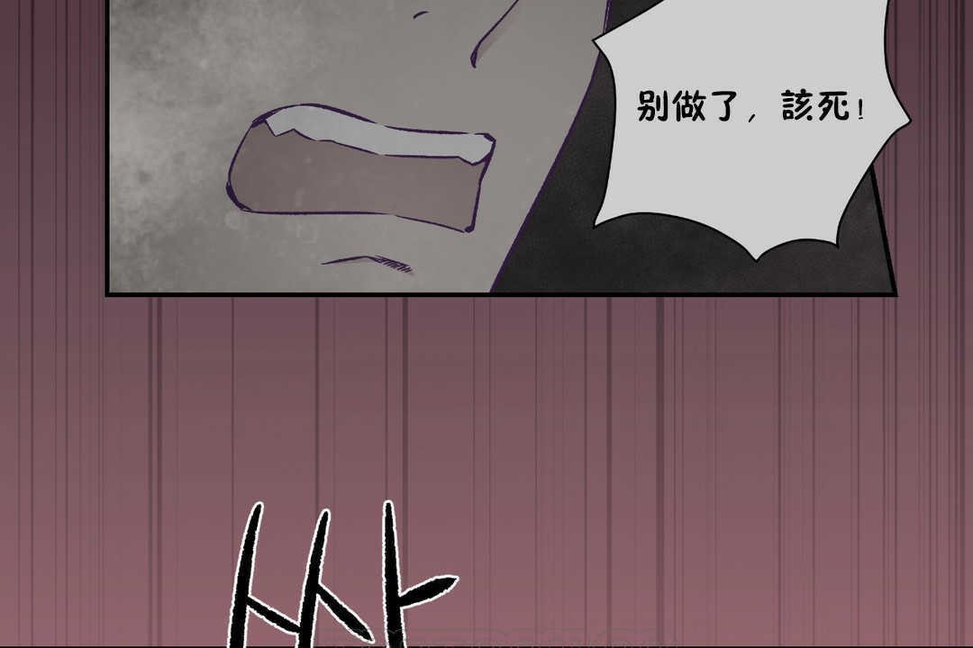 63P - 可爱的他