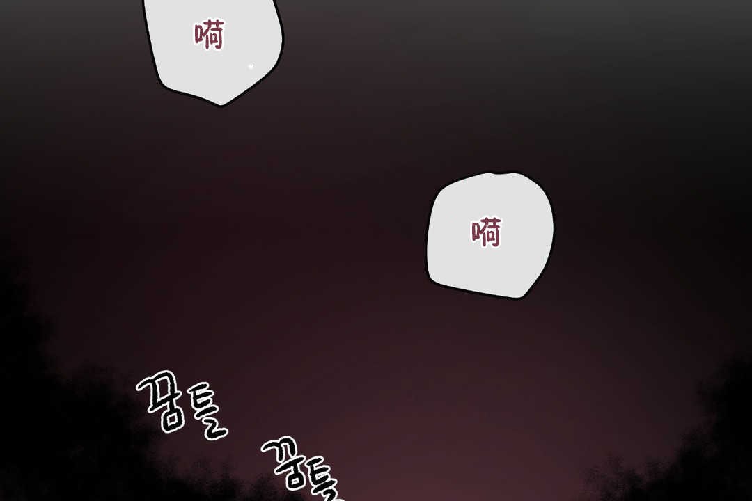 85P - 可爱的他