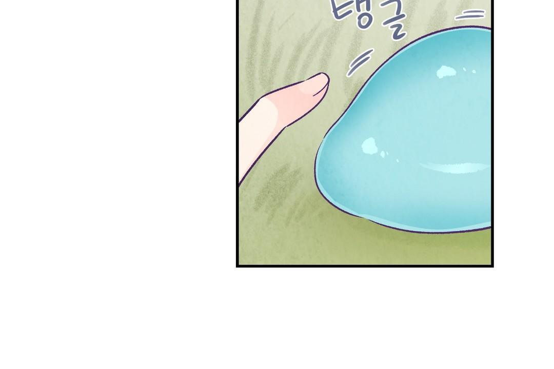 72P - 可爱的他