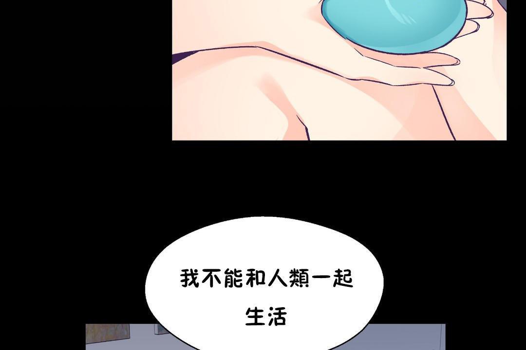 14P - 可爱的他