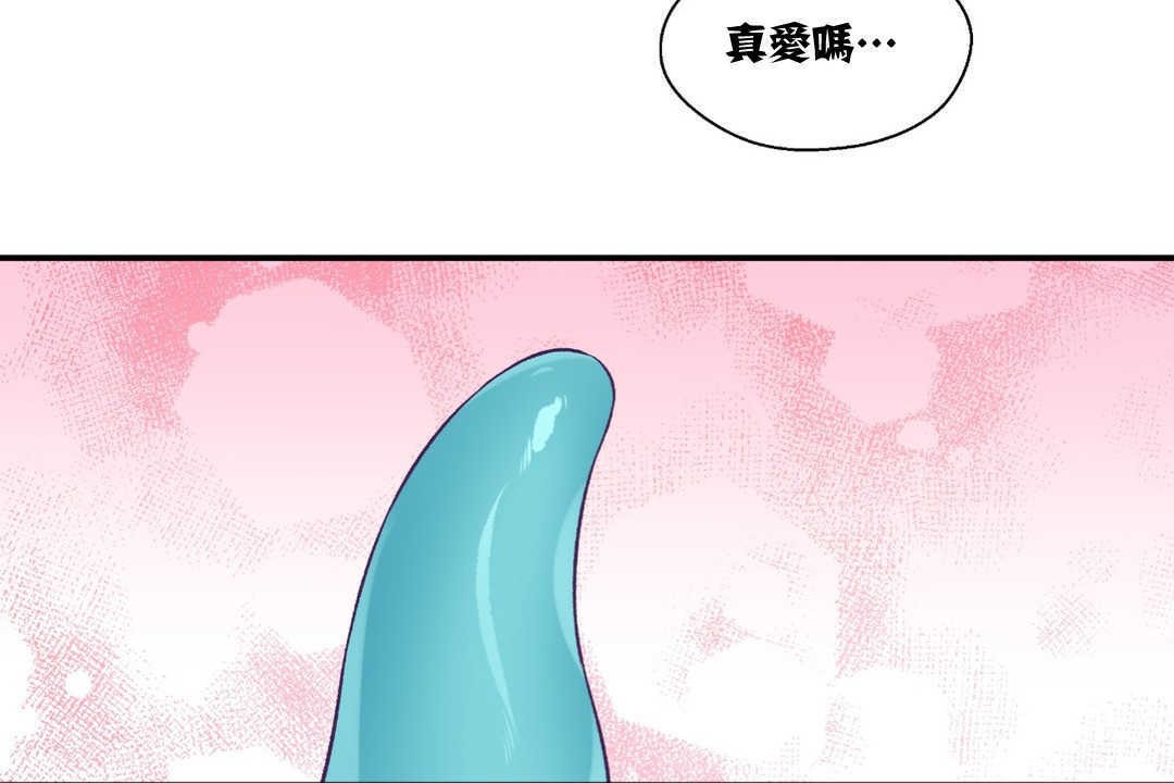 17P - 可爱的他