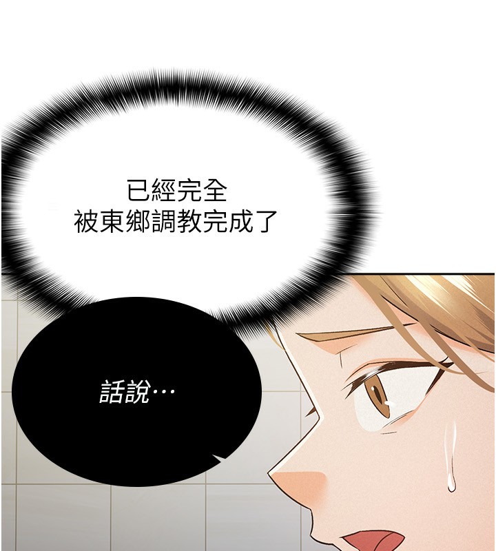 15P - 税金女友