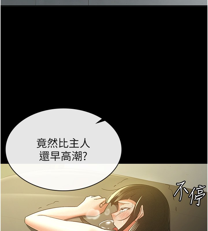 55P - 税金女友