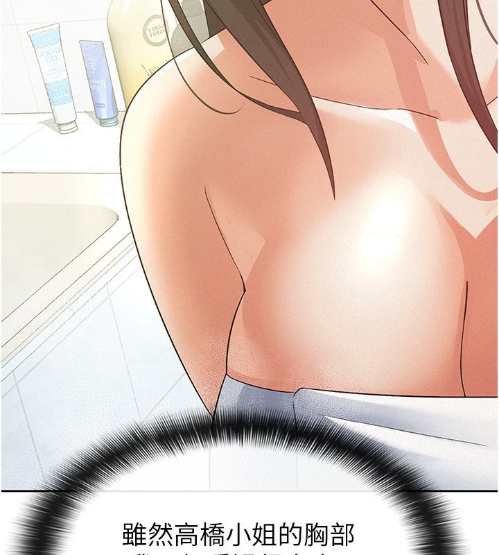 5P - 税金女友