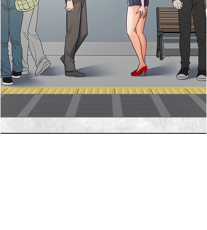 14P - 税金女友
