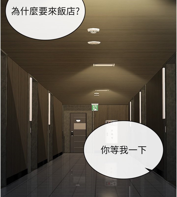 37P - 税金女友