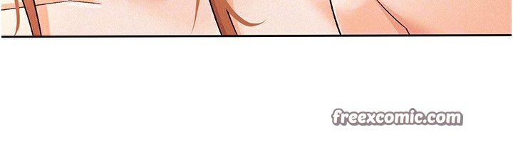 48P - 税金女友