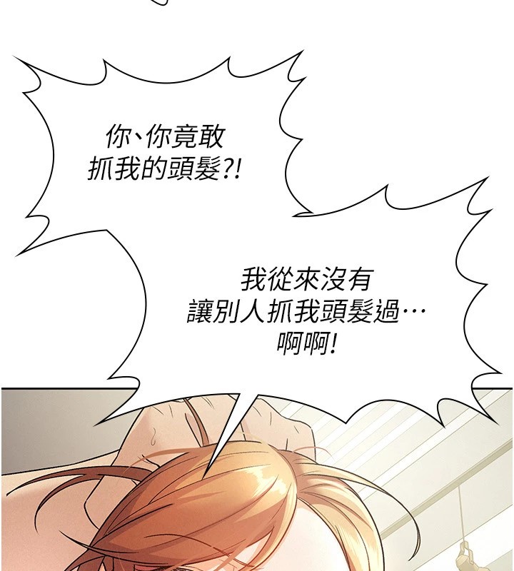 17P - 税金女友