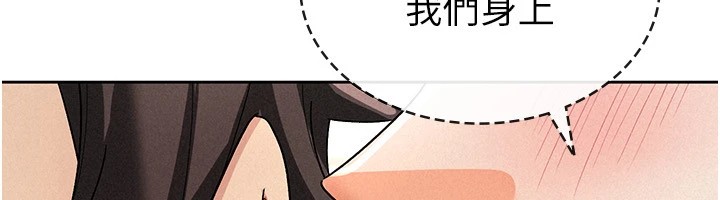 26P - 税金女友