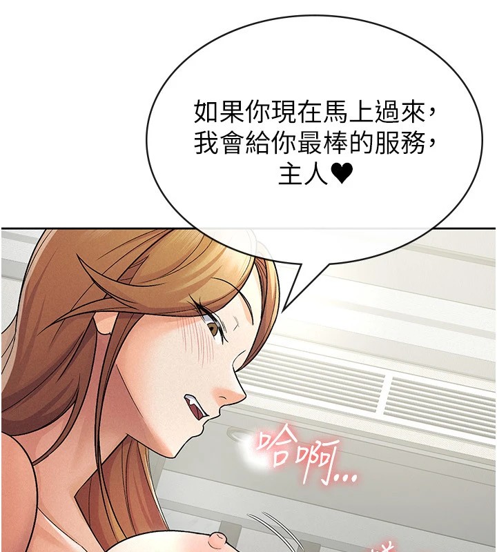 15P - 税金女友