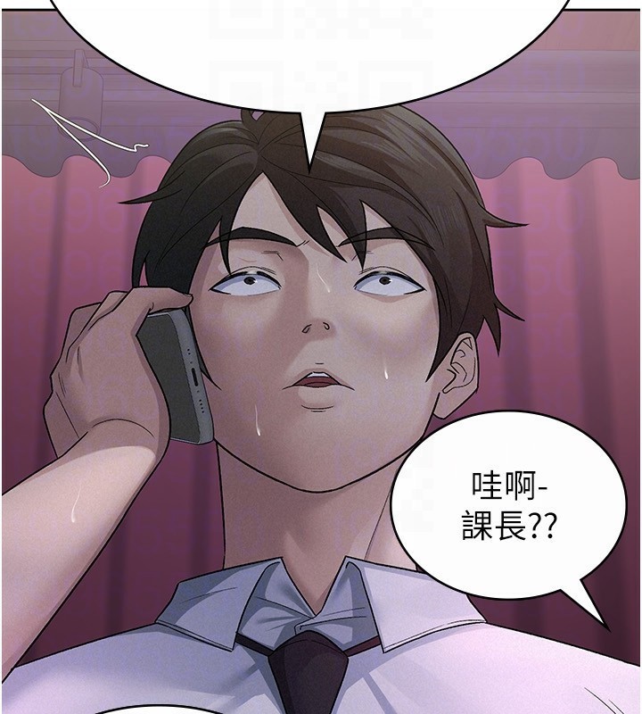 45P - 税金女友