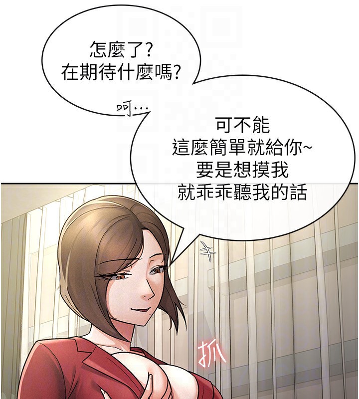 43P - 税金女友