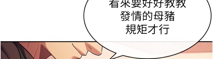 6P - 税金女友