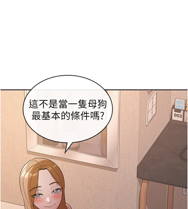5P - 税金女友
