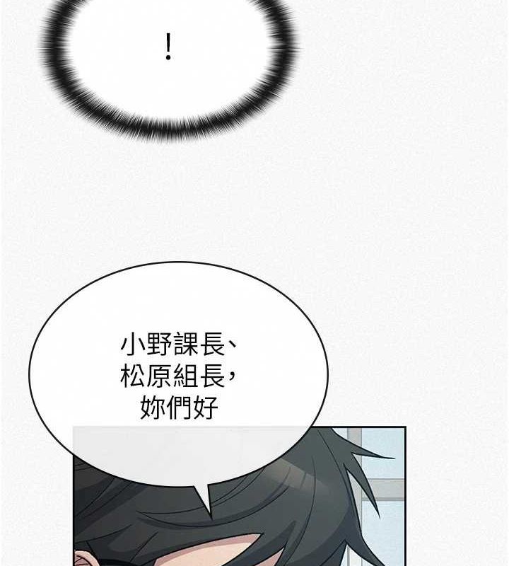 12P - 税金女友