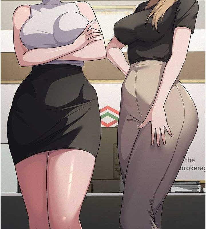 15P - 税金女友