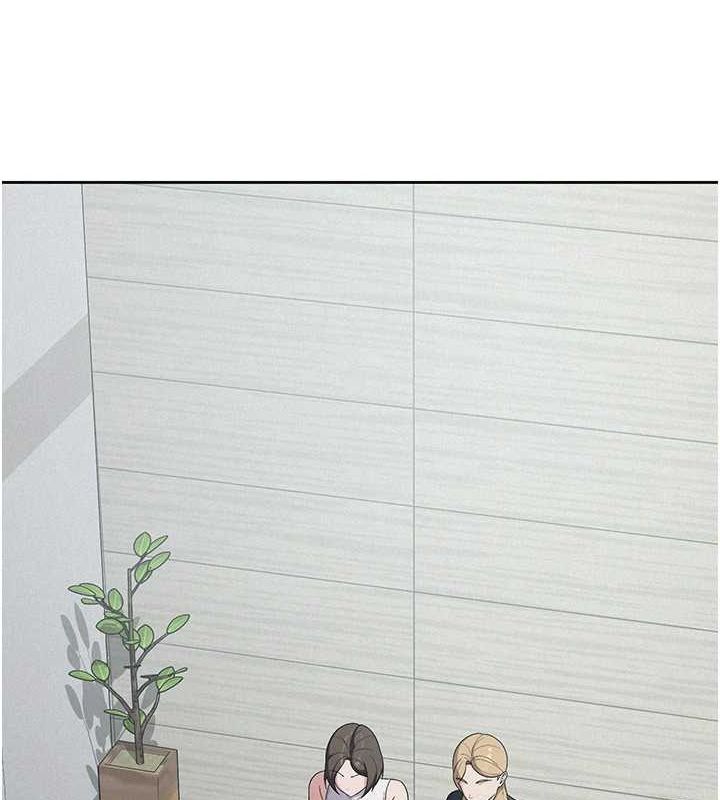 17P - 税金女友
