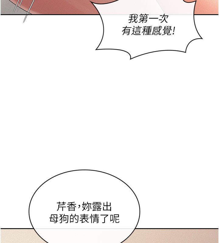8P - 税金女友