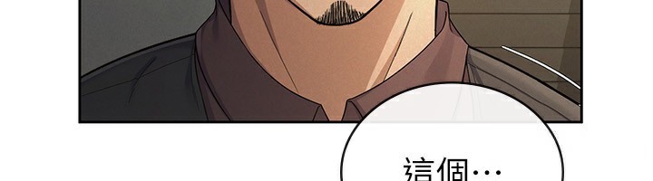 6P - 税金女友