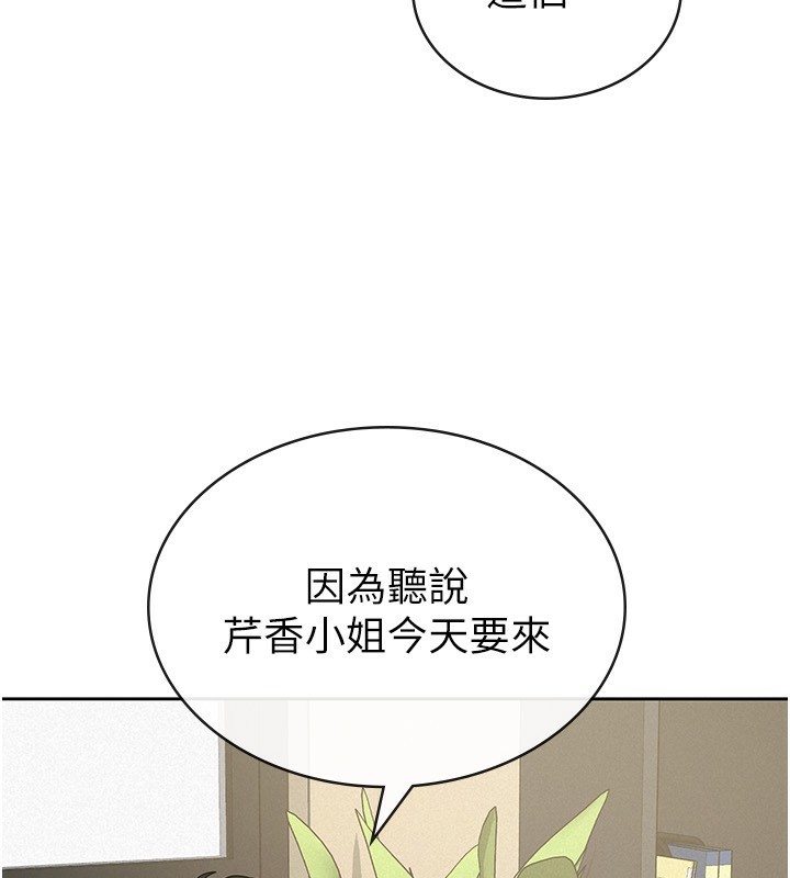 7P - 税金女友