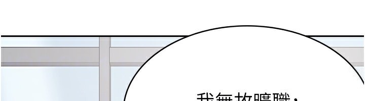 48P - 税金女友