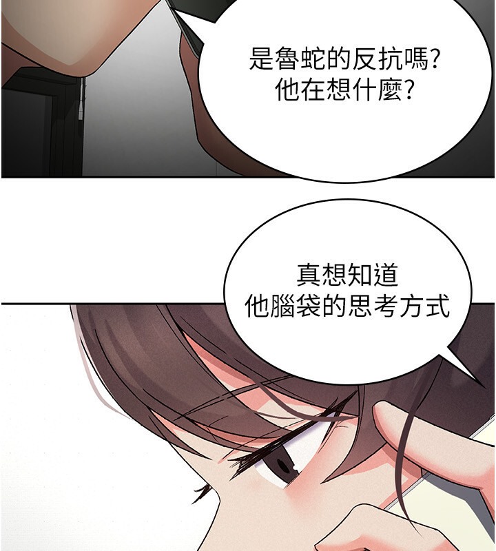 11P - 税金女友