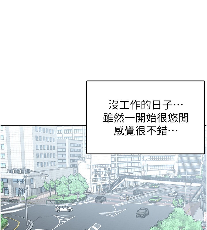 16P - 税金女友