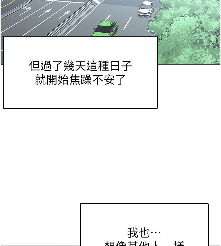 17P - 税金女友