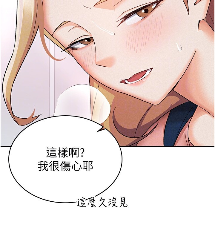 66P - 税金女友