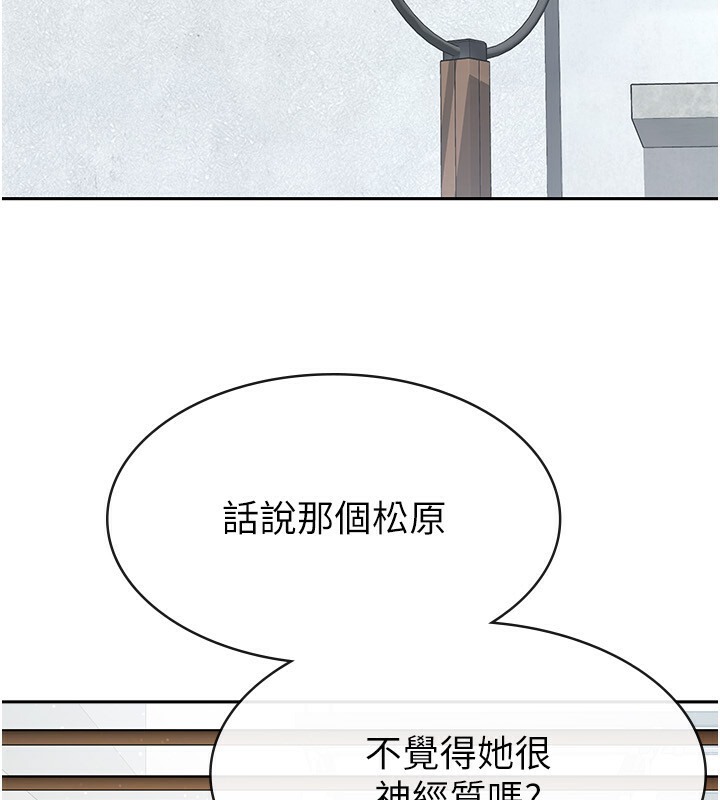17P - 税金女友