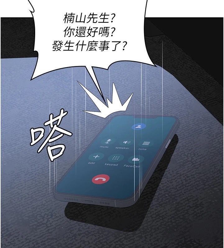 17P - 税金女友