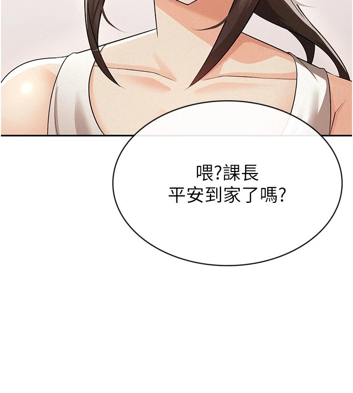 88P - 税金女友