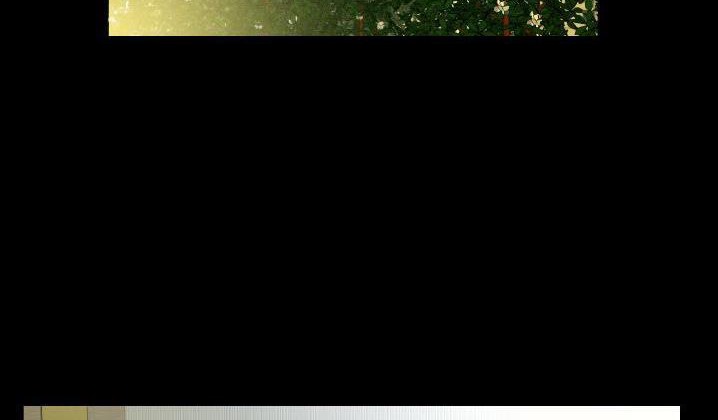 22P - 爸爸上班中