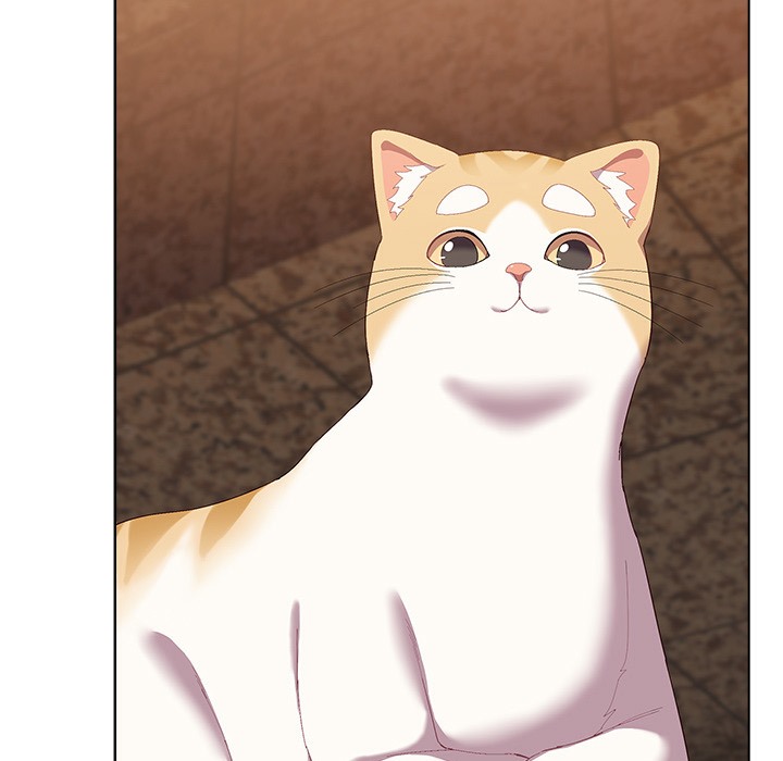 105P - 猫猫牵红线